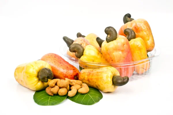 Cashewnötter äpple — Stockfoto