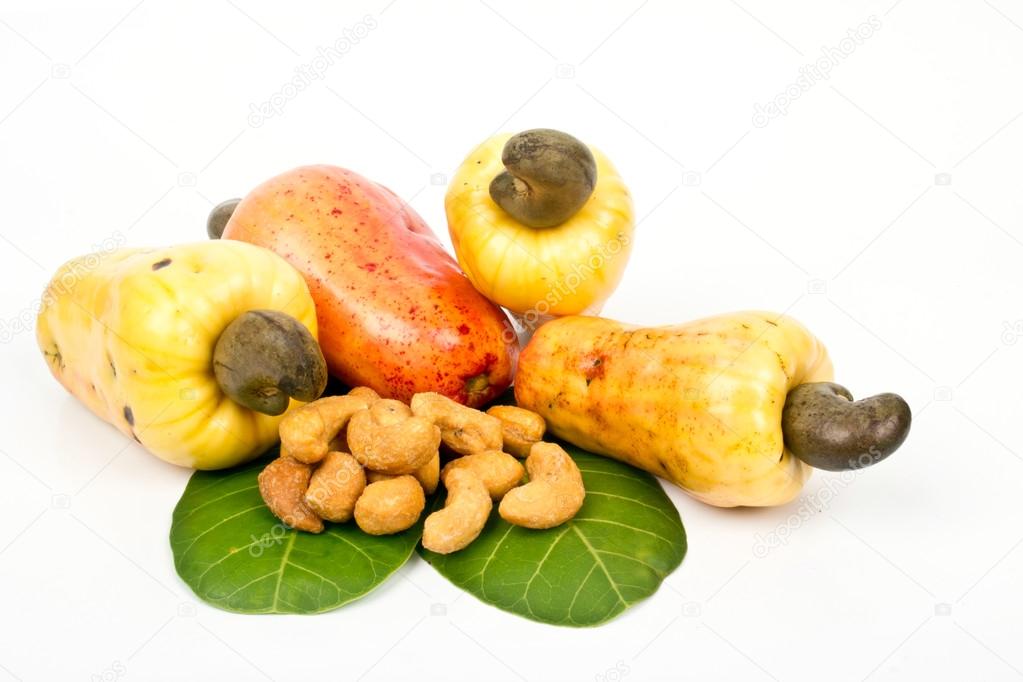 Cashew Nut Apple