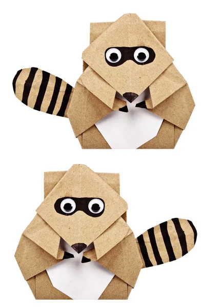 Rakun origami yeniden işleyip kullanı kağıt