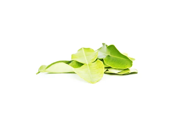Kaffir leaves — Stock Photo, Image