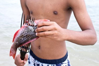 Deniz çingene ve andaman balık