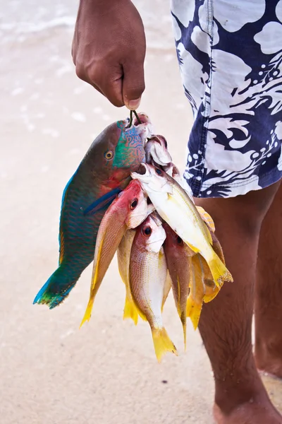 Ciganos do mar e peixes andaman — Fotografia de Stock