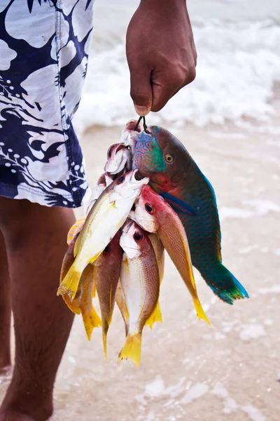 Ciganos do mar e peixes andaman — Fotografia de Stock