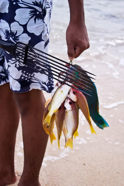 Sea Gypsies and andaman fish — Stock Photo, Image