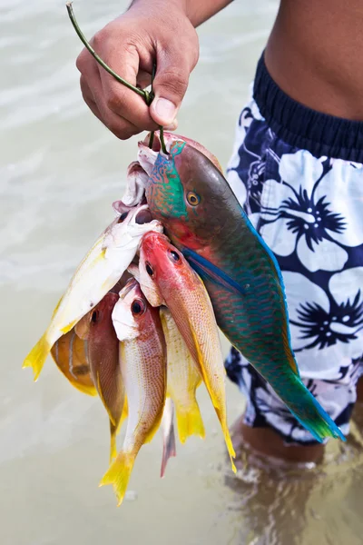 Ciganos do mar e peixes andaman — Fotografia de Stock
