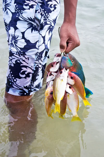 Ciganos do mar e peixes andaman — Fotografia de Stock