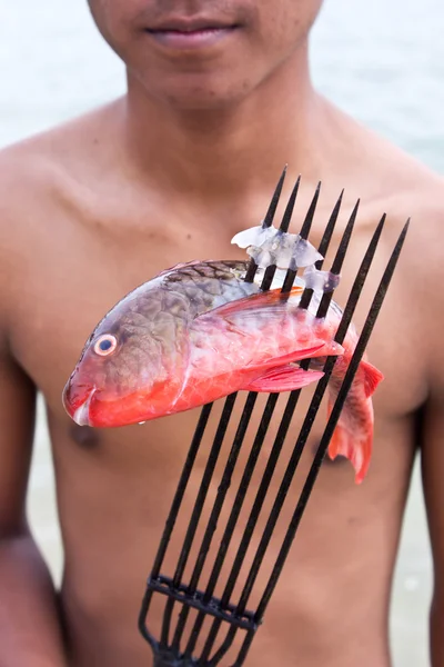 Sea zigenare och andaman fisk — Stockfoto