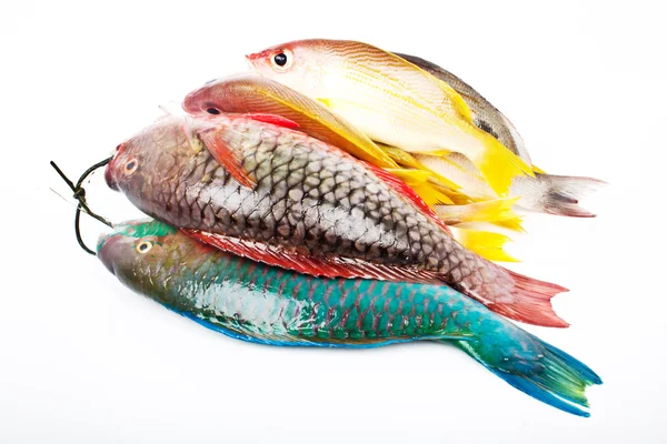Fishes from Andaman sea — Stock Photo, Image