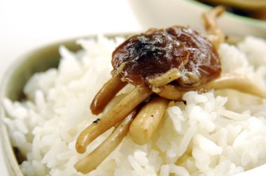 istiridye soslu kızarmış mushroow