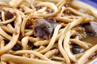 istiridye soslu kızarmış mushroow