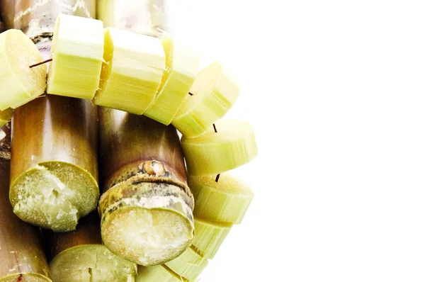 Sugar cane — Stock Photo, Image