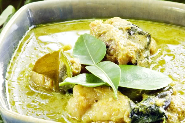 Hühnercurry grün — Stockfoto