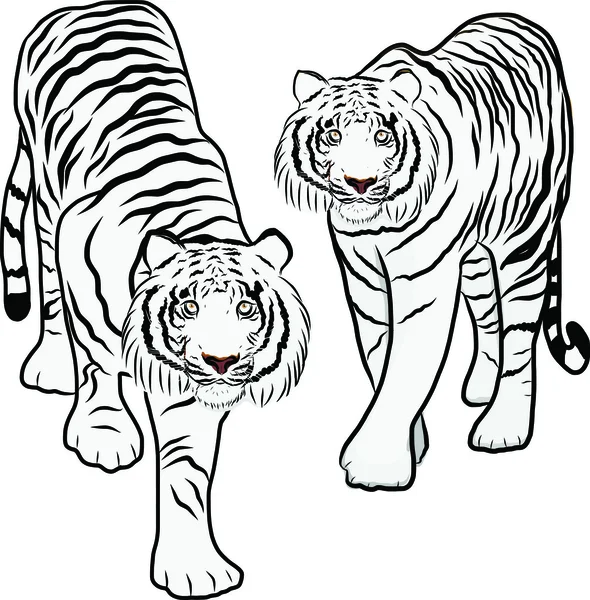 Vector de tigre dibujado a mano — Vector de stock