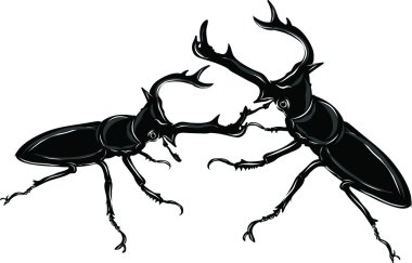 Böceği Silhouettes