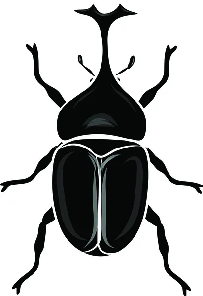Siluetas de escarabajo — Vector de stock