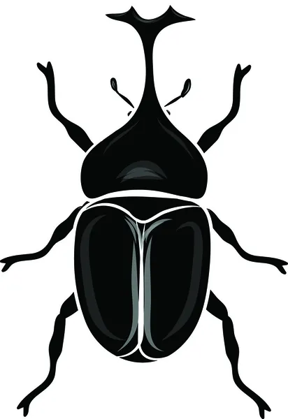 Beetle Silhouettes — Stock Vector