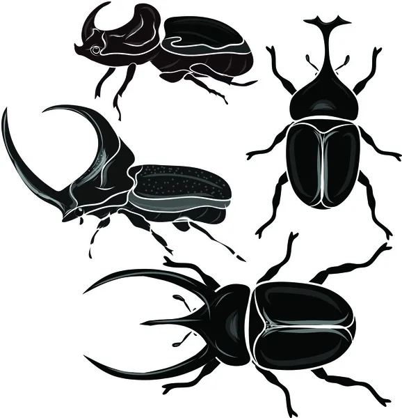 Siluetas de escarabajo — Vector de stock