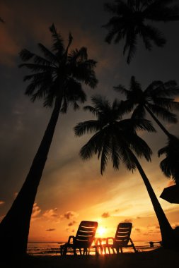sandalye üzerinde mükemmel tropik gündoğumu