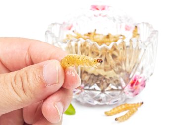 Çıtır çıtır kızarmış böcekler