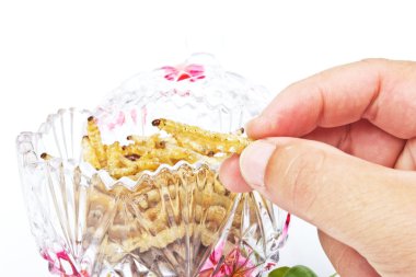 Çıtır çıtır kızarmış böcekler