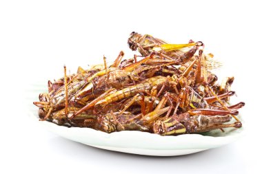 Çıtır çıtır kızarmış böcekler