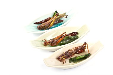 Çıtır çıtır kızarmış böcekler