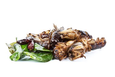 Çıtır çıtır kızarmış böcekler