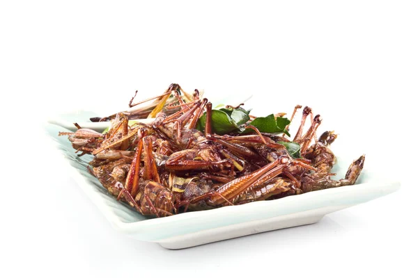 Crispy fried insects — Stock Photo, Image