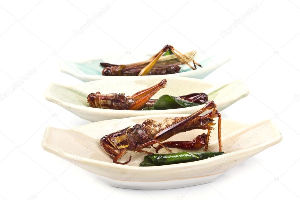 crispy fried insects