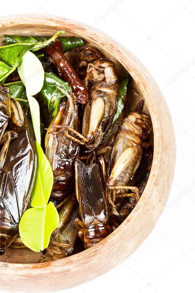 crispy fried insects