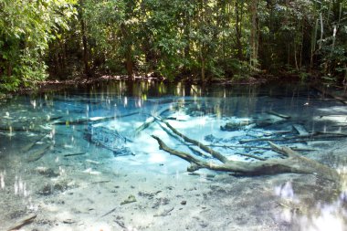 Zümrüt Havuzu, krabi, Tayland