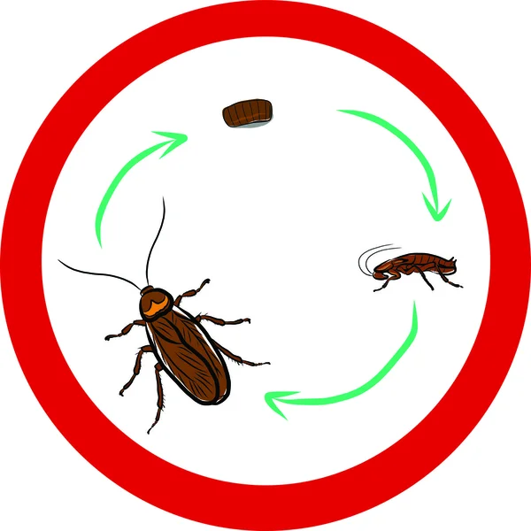 Detener signo de cucaracha — Vector de stock