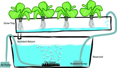 el hydroponics kurulum diyagramı çizme