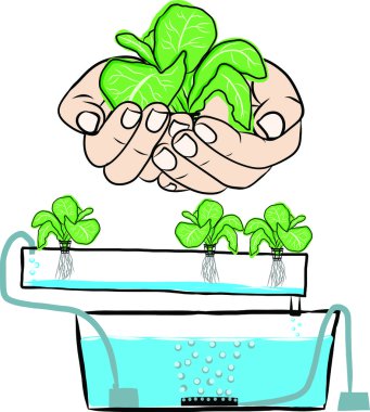 el hydroponics kurulum diyagramı çizme