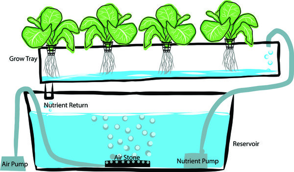 Hand draw diagram of a hydroponics setup