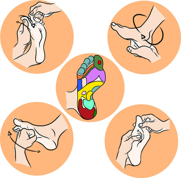 Hand draw Reflexology