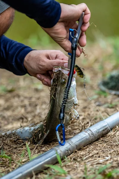 Der Fischer Benutzt Eine Fischzange Drückt Und Entfernt Die Haken — Stockfoto