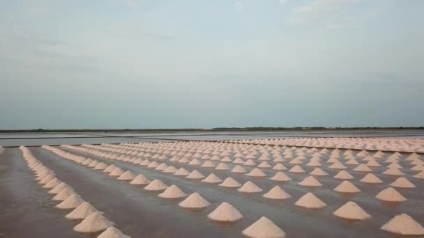 Drone Footage Salt Field Salt Evaporation Pond Central Thailand — 비디오