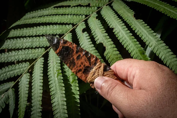 手斧桃花心木和原始刀片 — 图库照片