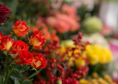 Deneyimli bir çiçekçi tarafından toplanan bir hediye için güzel, parlak bir buket taze gül.