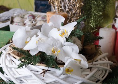 Deneyimli bir çiçekçi tarafından toplanan bir hediye için güzel, parlak bir buket taze orkide.