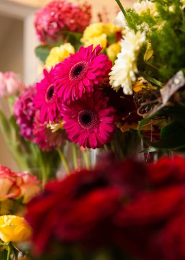 Deneyimli bir çiçekçi tarafından toplanan bir hediye için güzel, parlak bir buket taze gerbera.