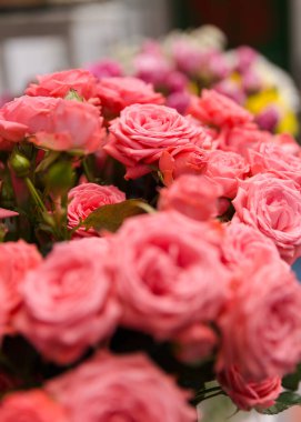 Deneyimli bir çiçekçi tarafından toplanan bir hediye için güzel, parlak bir buket taze gül.