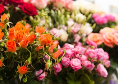 Deneyimli bir çiçekçi tarafından toplanan bir hediye için güzel, parlak bir buket taze gül.