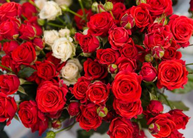 Deneyimli bir çiçekçi tarafından toplanan bir hediye için güzel, parlak bir buket taze gül.