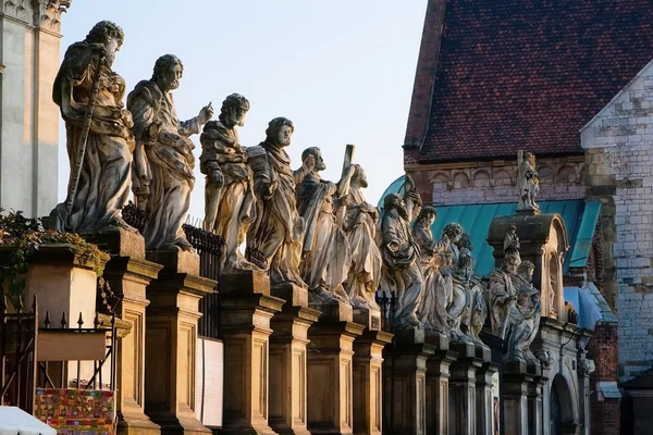 Las estatuas de la Catedral — Foto de Stock
