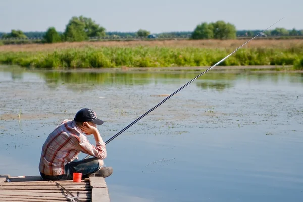 The fish is caught — Stock Photo, Image