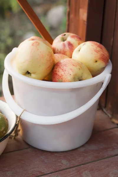 Cosecha de otoño de manzanas —  Fotos de Stock