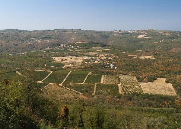 Motovun kasabası yakınlarında Vadisi — Stok fotoğraf