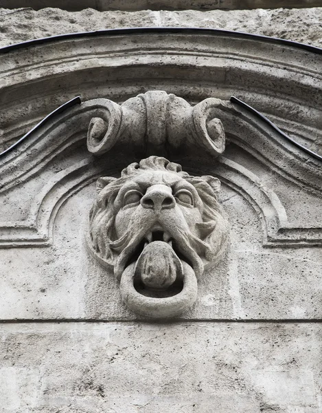 Bas-relief in the ideal head of a lion — Stock Photo, Image